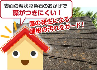 オークリッジスーパーは表面の粒状彩色石のおかげで藻がつきにくい屋根材です