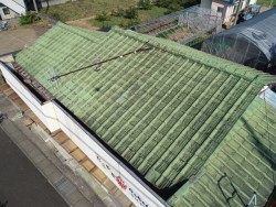 セメント瓦屋根