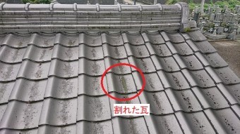 割れた瓦