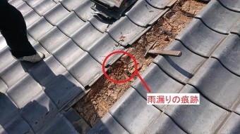 雨漏り箇所