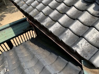 雨樋の落ち葉掃除