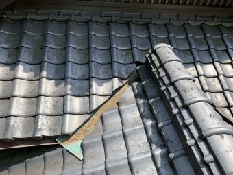 谷板金の落ち葉掃除