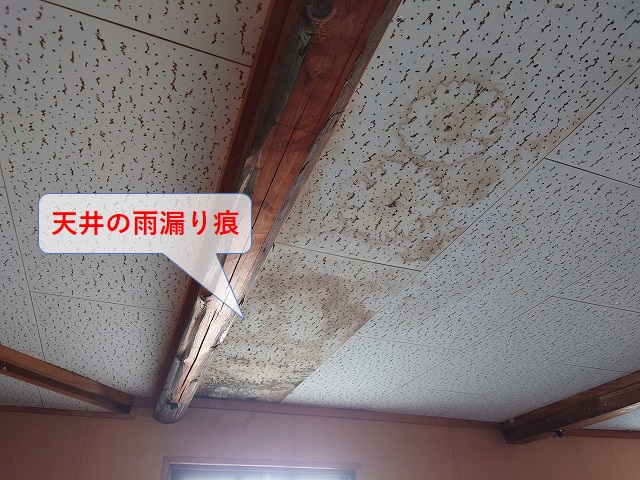 天井の雨漏り痕