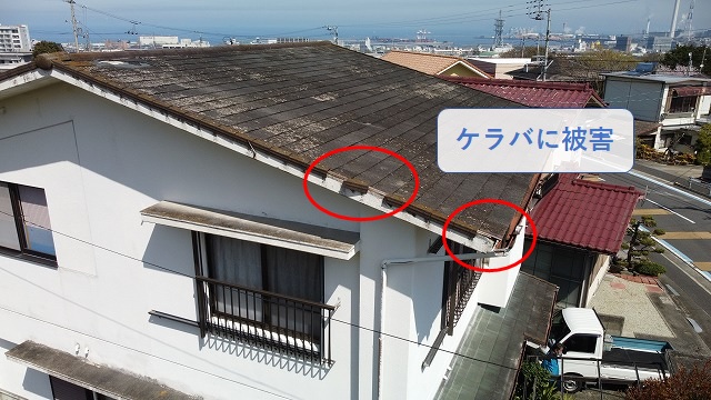 四国中央市で「やまじ風」で飛んだスレートの屋根補修のため調査