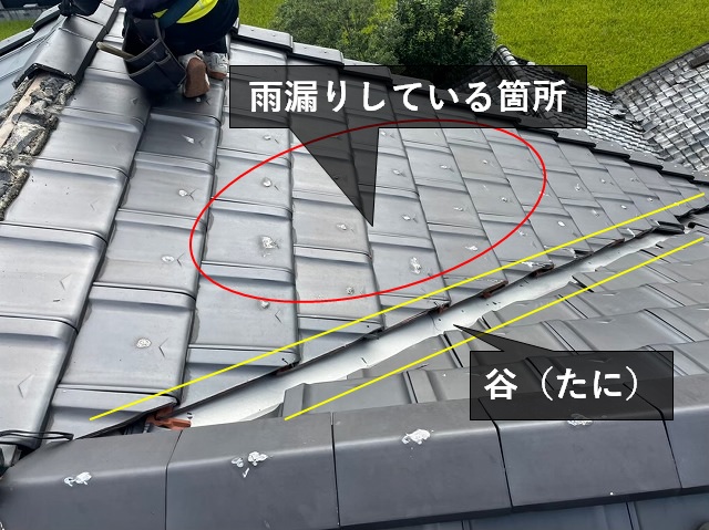 雨漏り修理している平板瓦の屋根