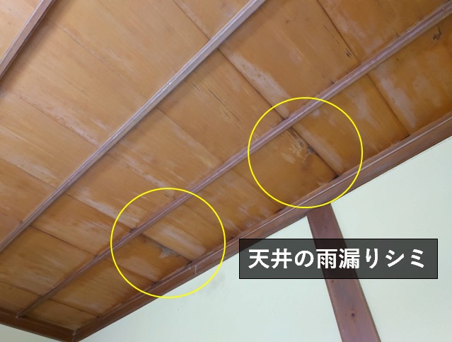 天井に残る雨漏りのシミ