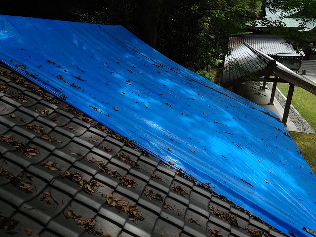 ブルーシートで養生した屋根