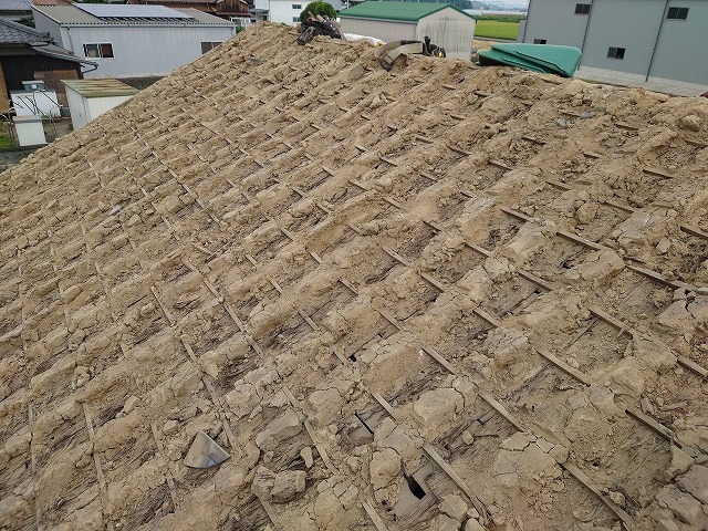 屋根の上の土