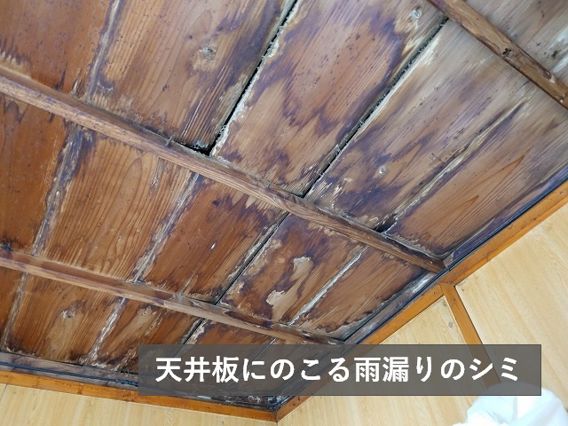 天井板にのこる雨漏りのシミ