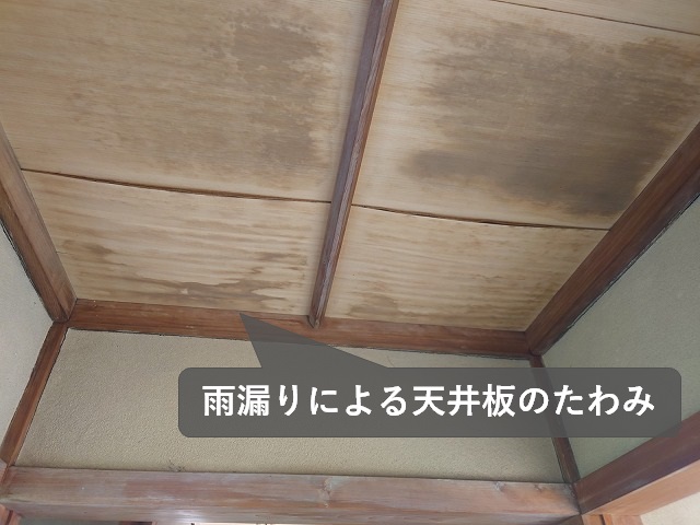 松山市で廊下の天井板のシミが不安！原因は棟からの雨漏りでした