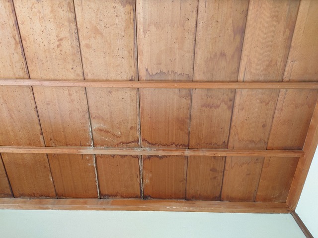 天井に残る雨漏りのシミ