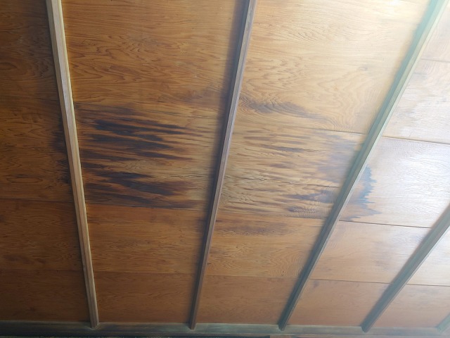 雨漏りの天井のシミ