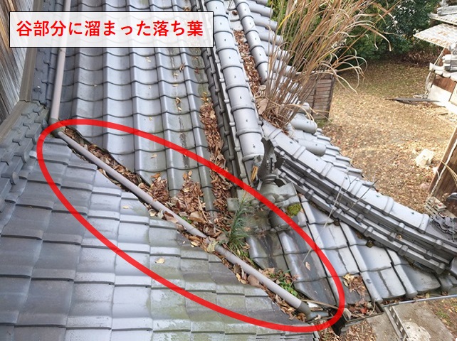 屋根に積もった落ち葉