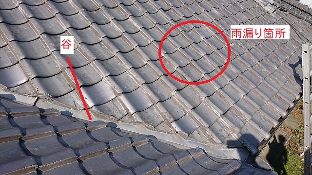 雨漏り箇所の屋根