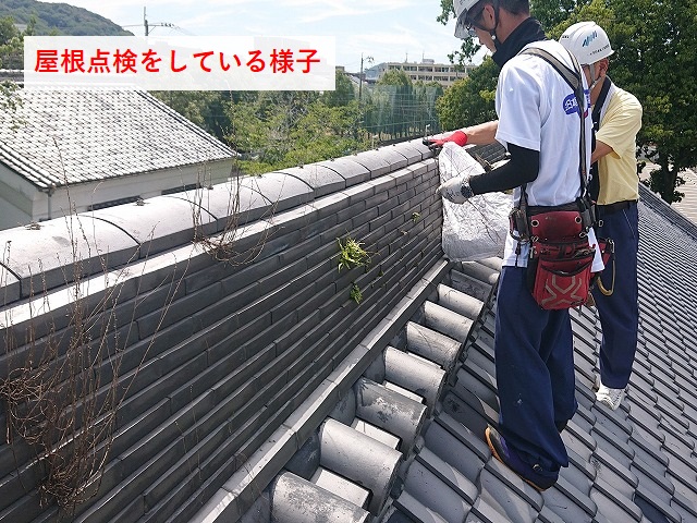 松山市屋根工事　屋根点検の様子