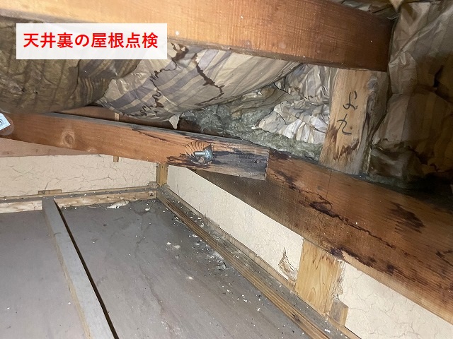 松山市屋根工事　天井裏の屋根点検